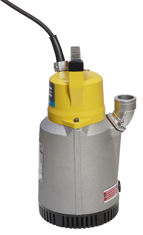 Mynd af Brunndæla D10N