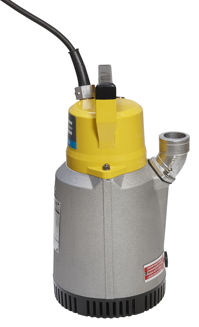 Mynd af Brunndæla D10N