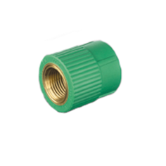 Mynd af PP-R Múffutengi 63mm x 2"