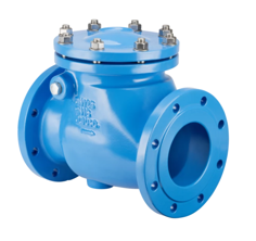 Mynd af Einstefnuloki Flangs DN65 PN16